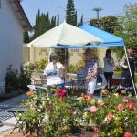 Picnic_011 (July 06, 2019)